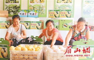 仁寿农副产品 借力电商东风，香飘海外市场