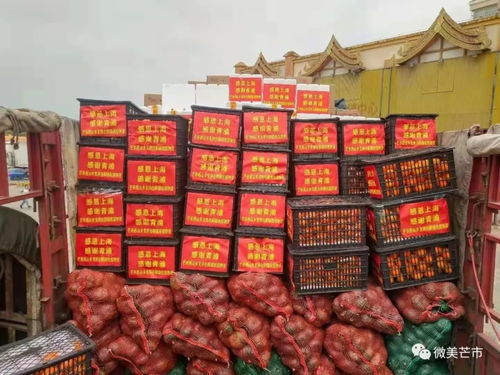 芒市270余吨农副产品驰援青浦，跨越千里的“蔬”送情谊