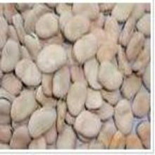 湟中兴盛农副产品营销专业合作社 高原特色农副产品的品质守护者与市场桥梁