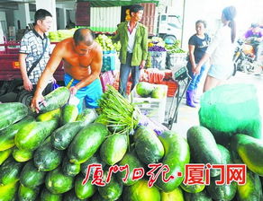 闽南农副产品物流中心试营业，构筑区域“菜篮子”新枢纽