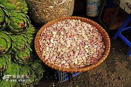 越南大叻 探访高原山城的烟火与清新——农副产品菜市场漫游记