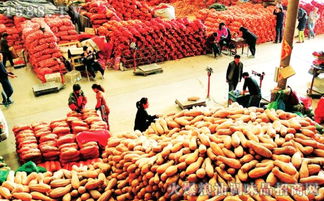 赤峰开通绿色通道，助力鲜活农副产品运输畅通