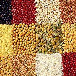 农副产品 连接田野与餐桌的纽带