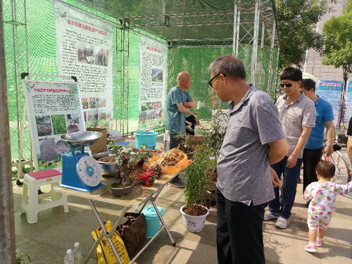 金台区农副产品广场推介会盛大开幕，近百种特色产品集中亮相