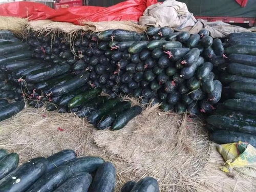 合肥市农副产品行业优秀企业风采录 深耕本土，链接未来